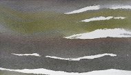Terra-24126a
