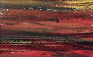 Terra-24008b