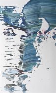 Aqua-16015g